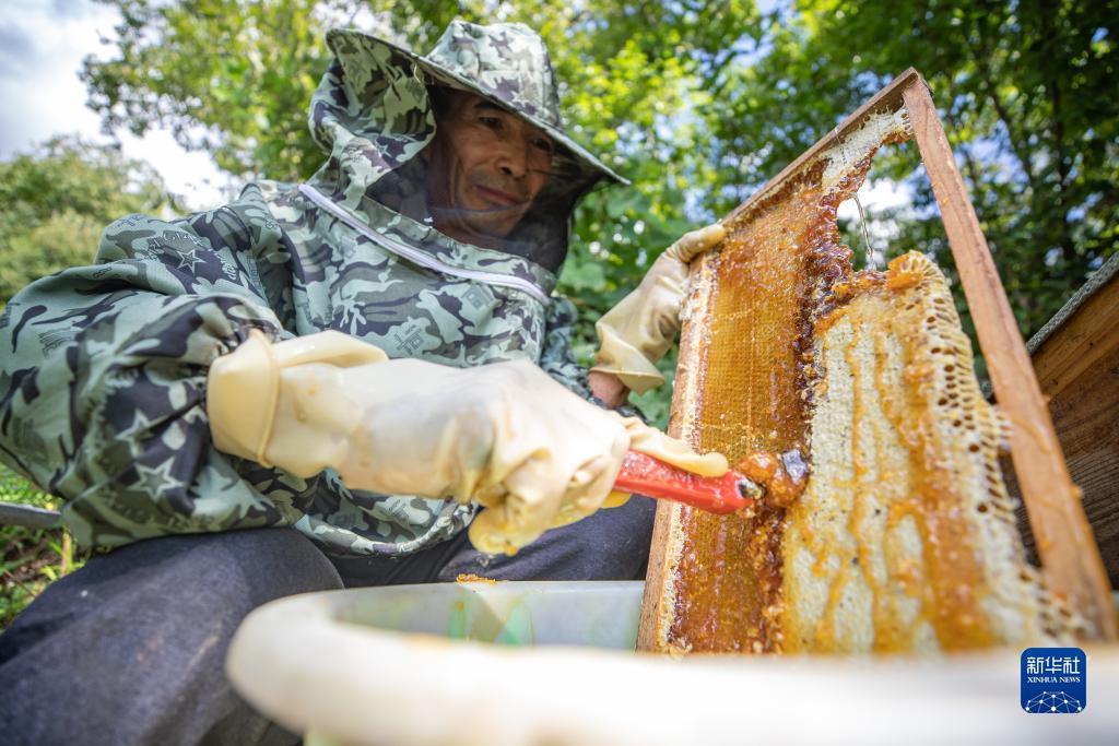 糖果派对俄罗斯网站